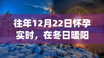 冬日暖陽(yáng)下的孕育之旅,自然美景探索與孕育新生命紀(jì)實(shí)