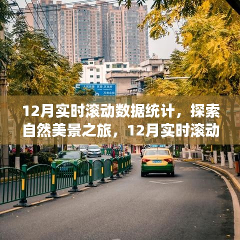探索自然美景之旅，揭秘12月實時滾動數據統計背后的寧靜呼喚
