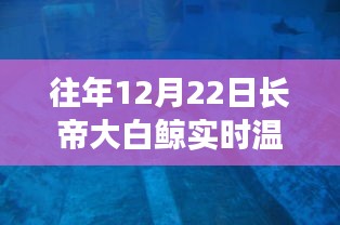 長帝大白鯨智能溫度計,實(shí)時溫度觸手可及,科技帶來生活溫暖
