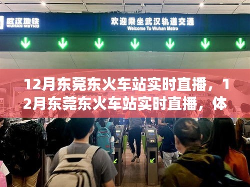 12月東莞東火車站實時直播,現(xiàn)代化交通樞紐的魅力展示