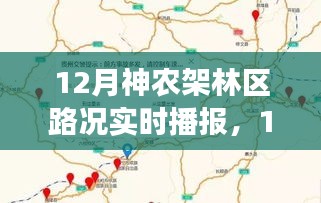 12月神農架林區路況實時播報，多方觀點下的道路狀況深度解析與個人體驗分享
