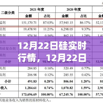 12月22日硅市場實時行情解析,市場走勢、個人觀點與洞察