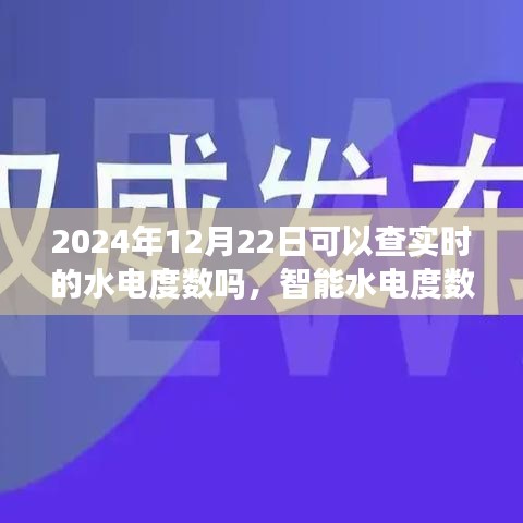 智能水電度數實時監測體驗報告,2024年12月22日實時水電度數查詢體驗