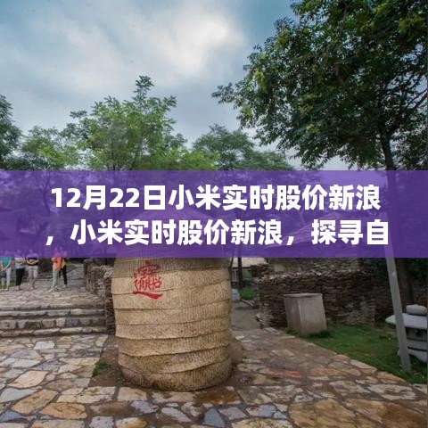小米實(shí)時(shí)股價(jià)新浪與探尋自然美景之旅，心靈寧?kù)o的力量