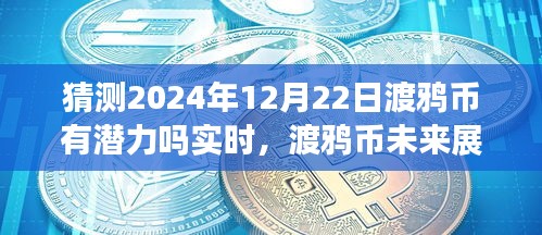 渡鴉幣未來展望,擁抱潛力,探索數(shù)字世界新紀元——至2024年12月22日的深度解析