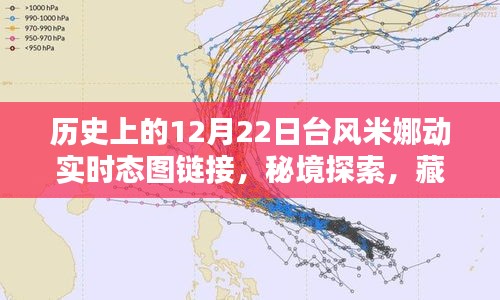 臺(tái)風(fēng)米娜動(dòng)態(tài)追蹤與秘境探索，巷陌特色小店奇妙邂逅