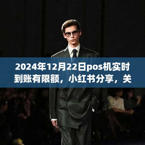 小紅書分享，2024年POS機實時到賬限額詳解