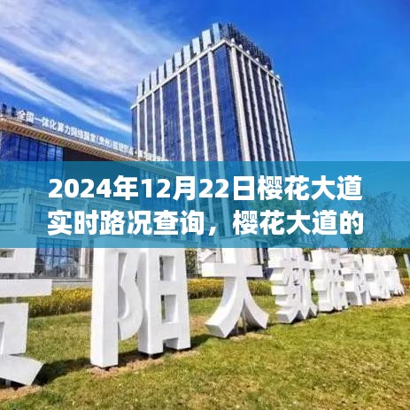 櫻花大道實時路況背后的暖心故事，奇妙的一天