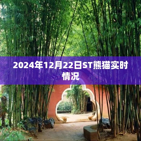 ST熊貓實時動態(tài),最新消息與走勢分析