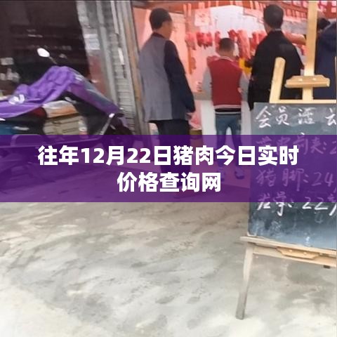 最新豬肉實時價格查詢網，今日更新