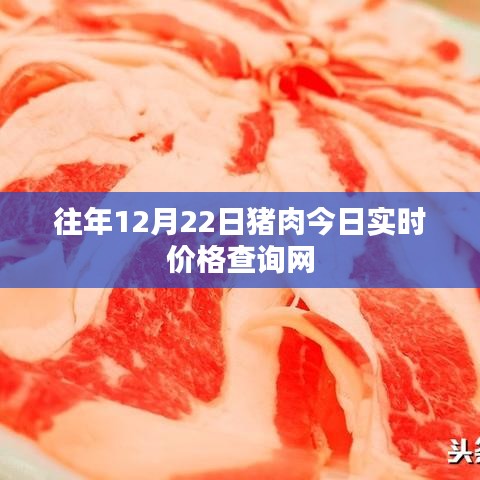 最新豬肉實(shí)時(shí)價(jià)格查詢網(wǎng),今日更新