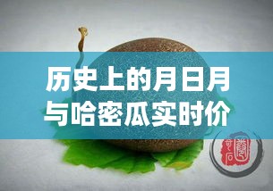 歷史月日月與哈密瓜實(shí)時(shí)價(jià)格,探尋經(jīng)濟(jì)脈絡(luò)的時(shí)空交織