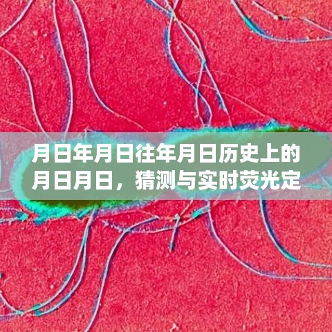 月日月日歷史與實時熒光定量PCR儀發(fā)展猜測