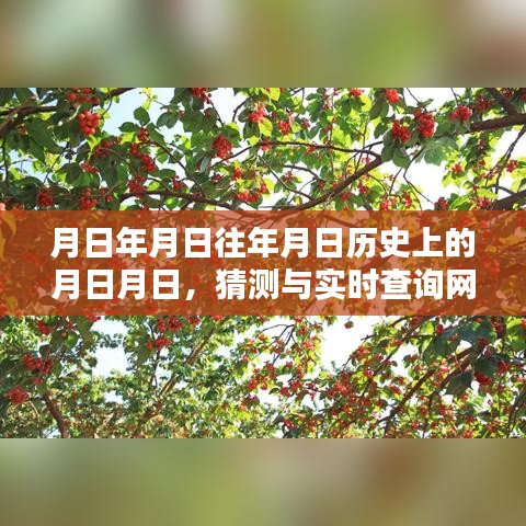 歷史月日與實時路況查詢,西昌茅坡路況猜想與查詢