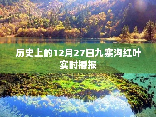 九寨溝紅葉實時播報，歷史12月27日回顧
