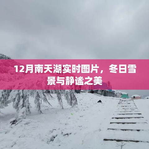 南天湖冬季實時圖片,雪景下的靜謐之美