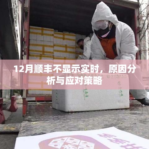 順豐快遞實時信息缺失,原因解析與應(yīng)對方案