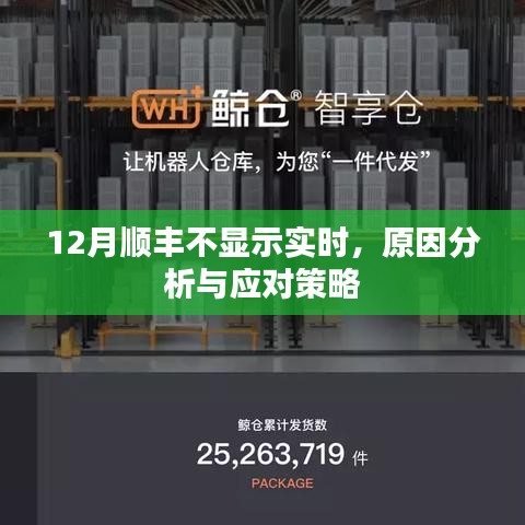 順豐快遞實時信息缺失,原因解析與應對方案