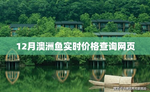 澳洲12月魚類實時價格在線查詢