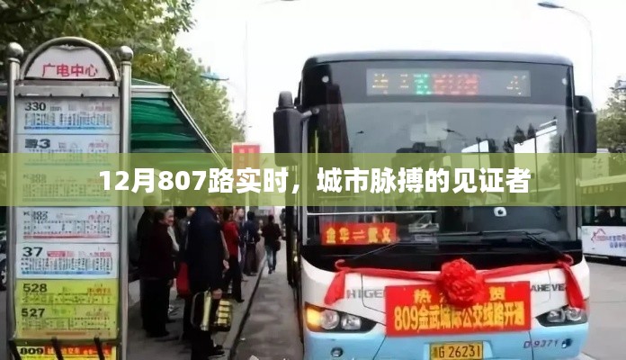 城市脈搏見證者，12月807路實時動態