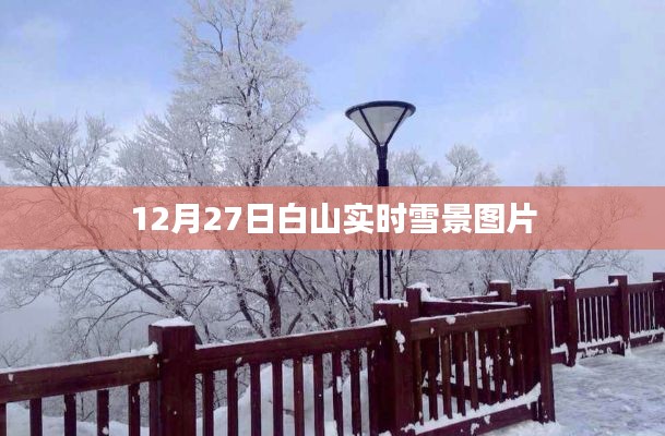 白山實時雪景圖片報道