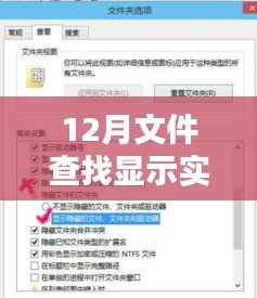 實時查看文件動態,十二月文件查找功能