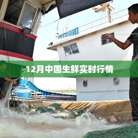 中國生鮮市場十二月行情實時更新