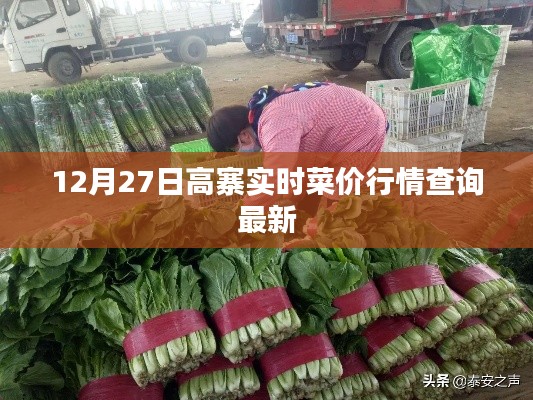 高寨實時菜價行情更新,最新查詢結(jié)果