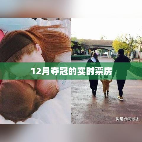12月電影奪冠實時票房數據