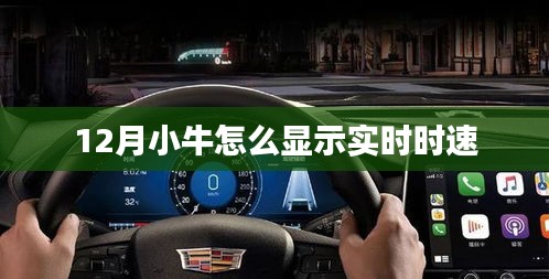 小牛電動車實時時速查看方法