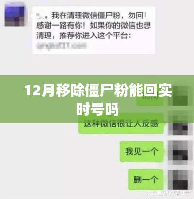 僵尸粉移除與實時號恢復,12月操作指南