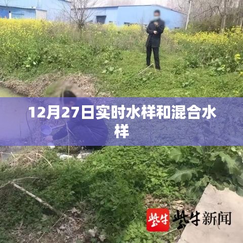 12月27日實時與混合水樣檢測分析