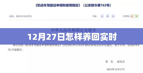 12月27日如何有效養回實時狀態