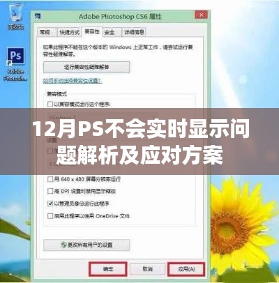 PS軟件實時顯示問題解析與應對方案