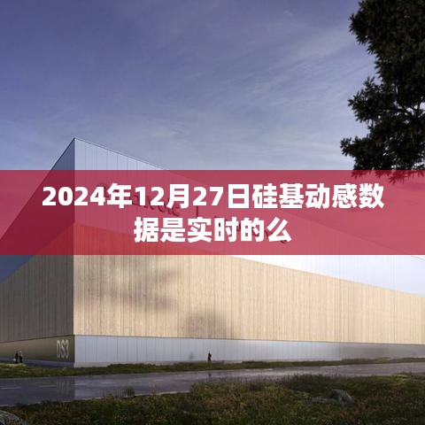 硅基動感數據實時性探討，2024年12月27日數據準確性分析