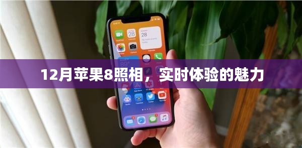 蘋果8實時照相體驗,12月新魅力