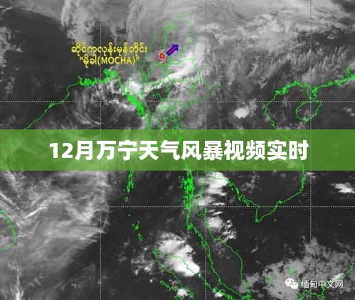 萬寧風暴來襲,最新天氣實時視頻