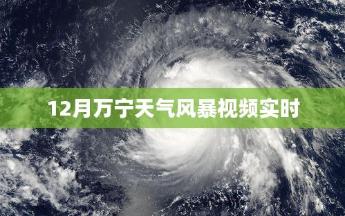 萬寧風暴來襲,最新天氣實時視頻