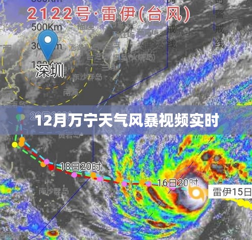 萬寧風暴來襲,最新天氣實時視頻