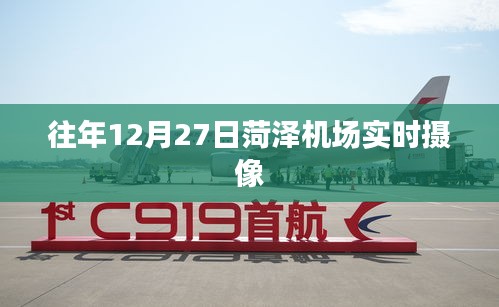 棲鳥于泉 第3頁