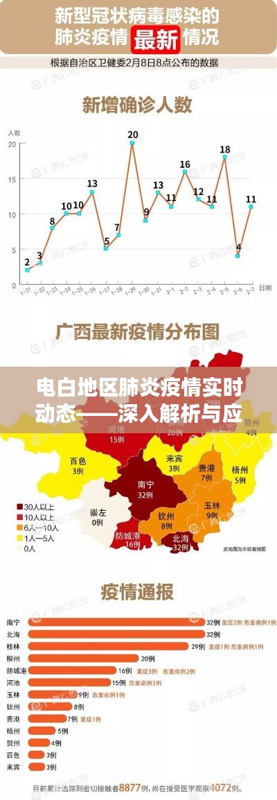 電白地區(qū)肺炎疫情最新動態(tài),解析與應(yīng)對策略