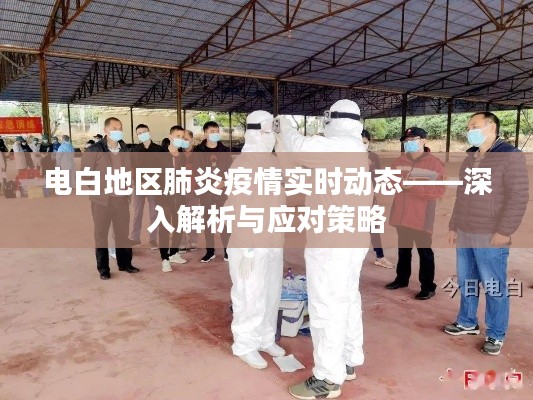 電白地區肺炎疫情最新動態,解析與應對策略