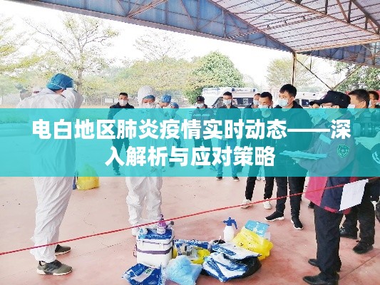 電白地區(qū)肺炎疫情最新動態(tài),解析與應(yīng)對策略