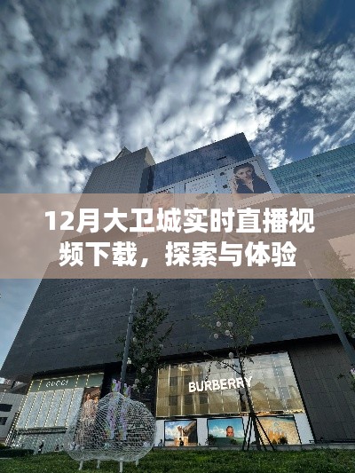 大衛城12月實時直播視頻下載，探索與體驗之旅