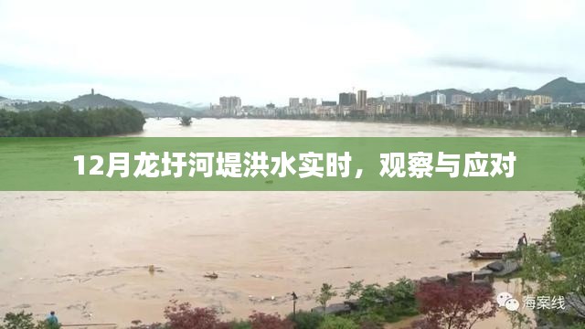 龍圩河堤洪水實時觀察與應對舉措