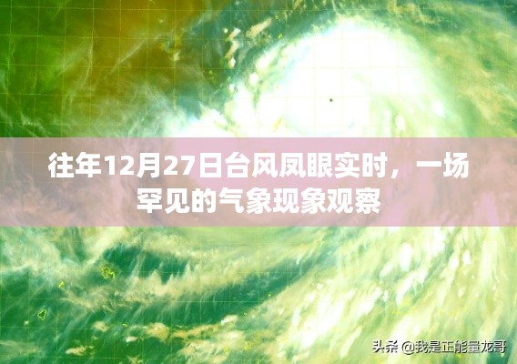 云屯鳥散 第4頁