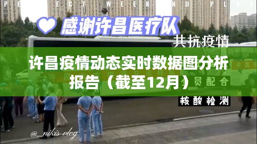 許昌疫情實時數據圖分析報告(截至12月最新動態)