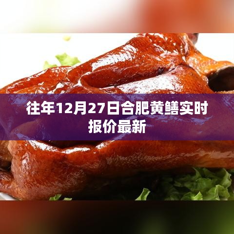 合肥黃鱔最新實時報價（往年12月27日）