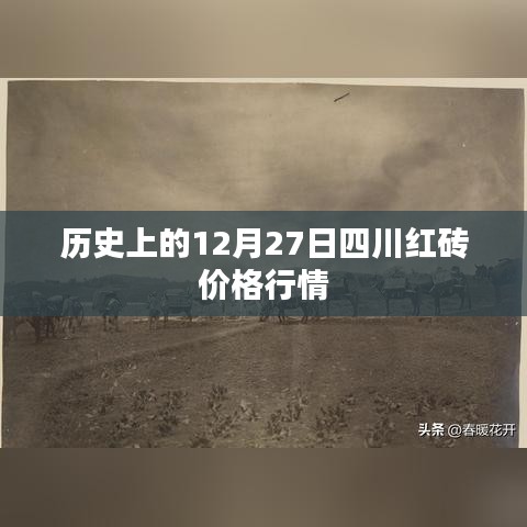四川紅磚價格行情回顧,歷史12月27日數(shù)據(jù)解析