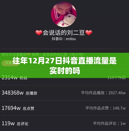 抖音直播流量歷年數據解析，直播流量實時性探討